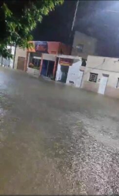Foto: Internet/Divulgação