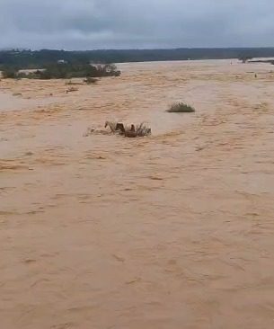 Cavalos ilhados no rio São Francisco, em Pirapora, Norte de Minas.