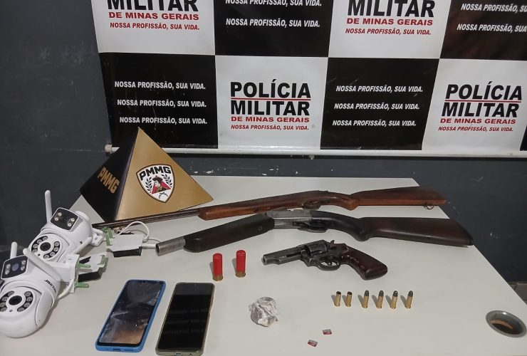 Armas e munições apreendidas