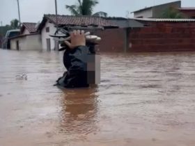 Cerca de 550 famílias foram atingidas pela chuva - Foto: Redes Sociais