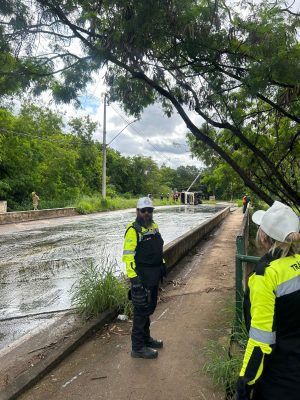 Foto: MCTrans/Divulgação