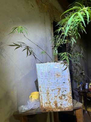 Foto: PCMG/Divulgação