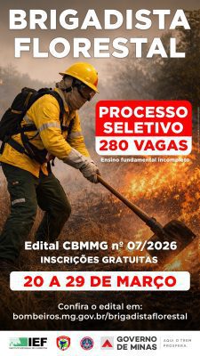 Foto: Corpo de Bombeiros Militar de Minas Gerais/Divulgação