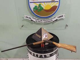 Foto: Polícia Militar do Meio Ambiente