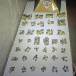 Foto: PMMG / Divulgação