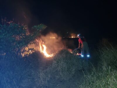 Incêndio em vegetação