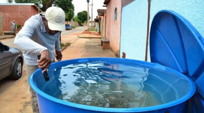 índice de infestação mosquito da Dengue