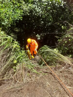 Salvamento em rodovia