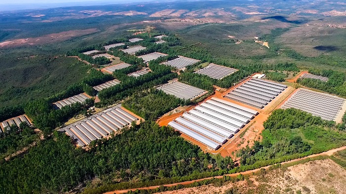 BR-251, trecho de Francisco Sá: Não houve feridos, porém o conteúdo do  tanque foi derramado em aproximadamente 400 metros da rodovia em ambos os  sentidos, tornando-a escorregadia e oferecendo risco ao trânsito