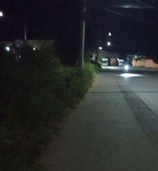 Avenida Projetada A está tomada pelo mato e sem iluminação adequada - Foto: Arquivo Pessoal/Morador