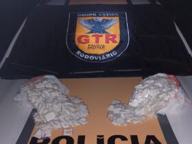 Foto: PMMG/Divulgação