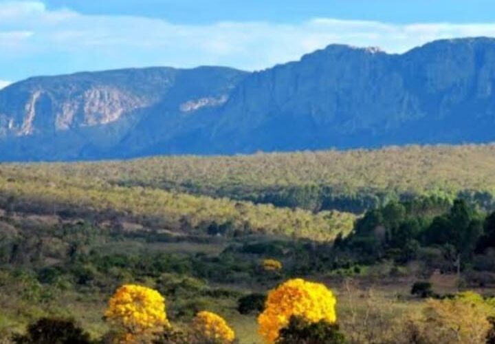 Quando chego no topo da Serra vejo a linha do Infinito - Foto: Divulgação/Internet