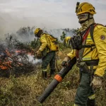 Foto: Divulgação/Ministério do Meio Ambiente