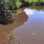 Menino morreu afogado em lagoa nos fundos do quintal de casa - Foto: PMMG/Divulgação