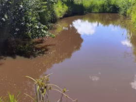 Menino morreu afogado em lagoa nos fundos do quintal de casa - Foto: PMMG/Divulgação