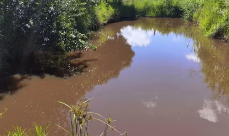 Menino morreu afogado em lagoa nos fundos do quintal de casa - Foto: PMMG/Divulgação