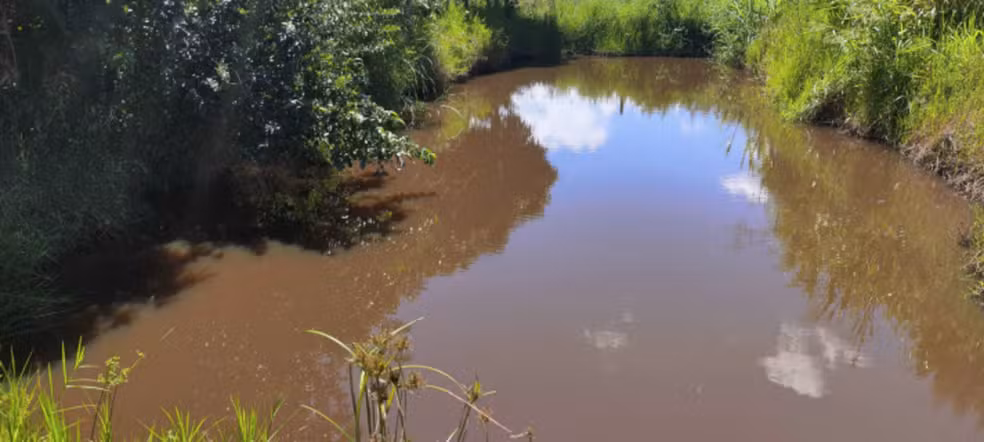 Menino morreu afogado em lagoa nos fundos do quintal de casa - Foto: PMMG/Divulgação